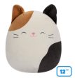 SQUISHMALLOWS -  12 INCH PLUSH - CAM THE CAT Online now