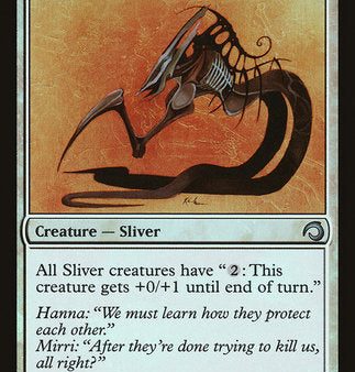 Armor Sliver [Premium Deck Series: Slivers] on Sale