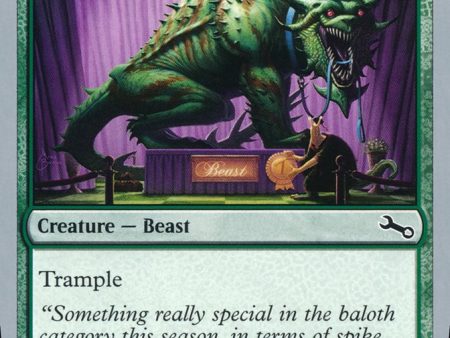 Beast in Show ( Something really special... ) [Unstable] Online now