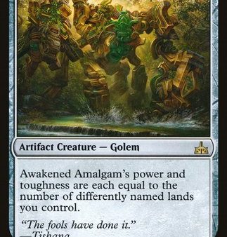 Awakened Amalgam [Rivals of Ixalan] Online